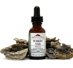 Organic Turkey Tail Extract (Tincture)