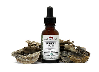 Organic Turkey Tail Extract (Tincture)
